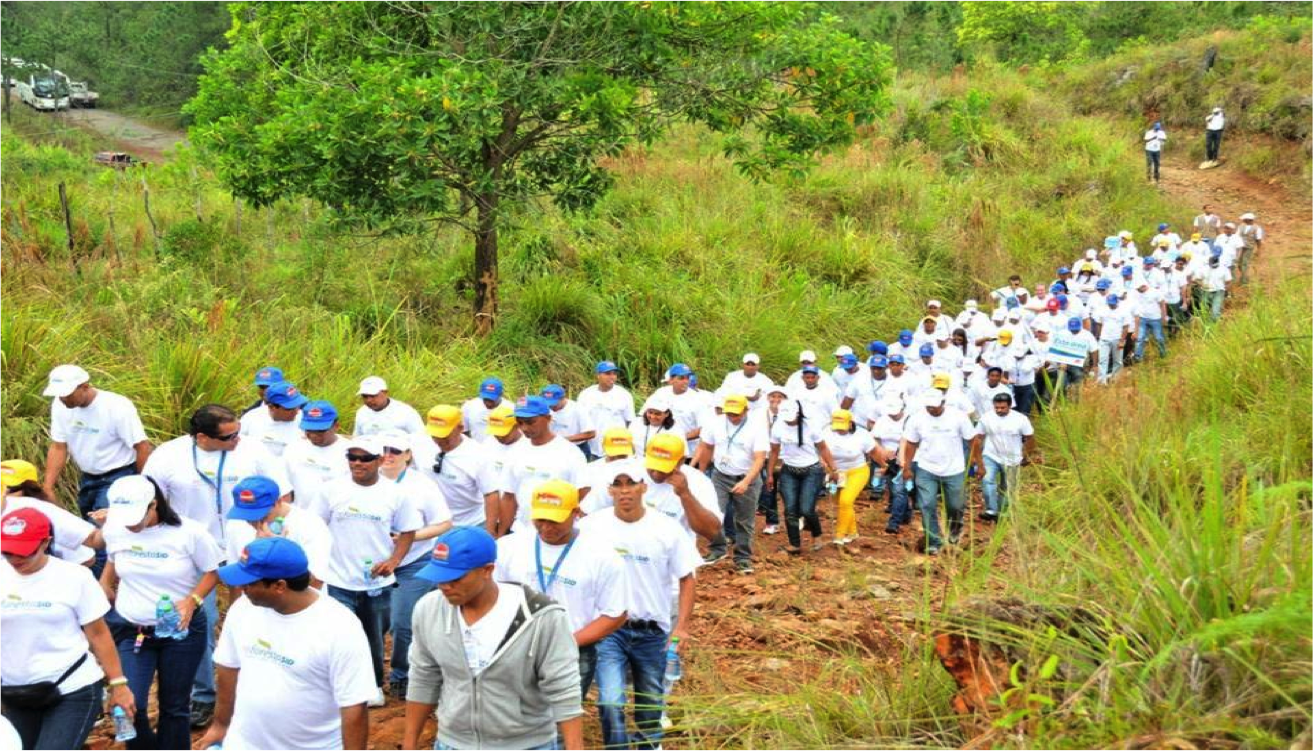 ReforestaSID
