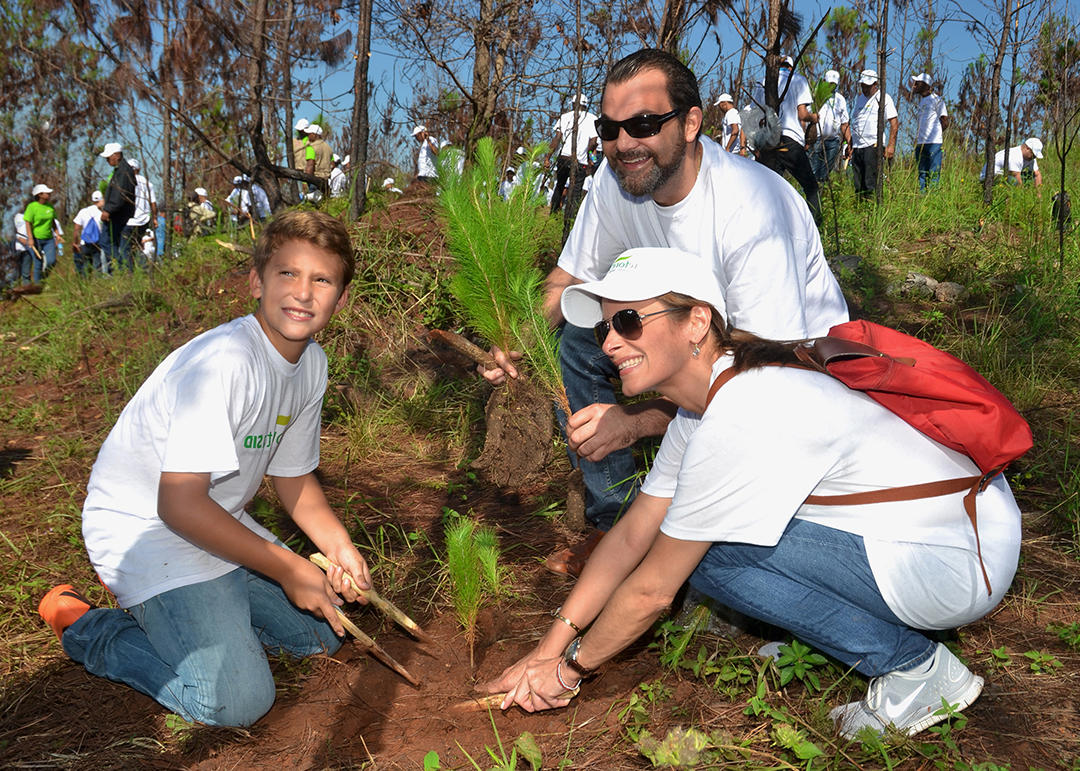 Reforestasid